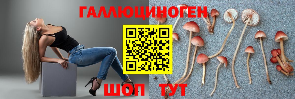 Галлюциногенные грибы мицелий Волжск
