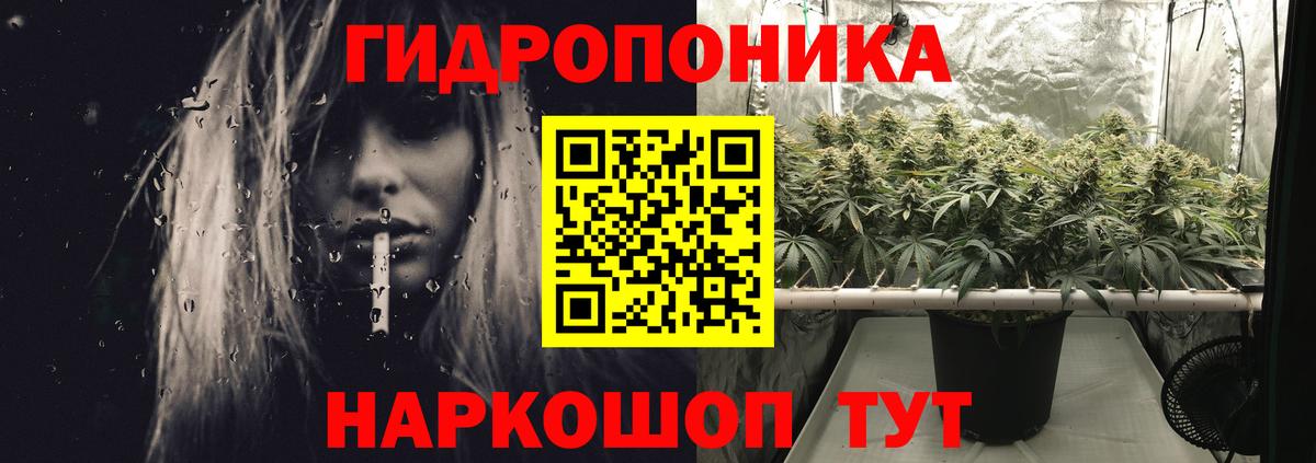 Бошки марихуана MAZAR  Вход с VPN  Волжск  Шишки марихуана план  Каннабис ГИДРОПОН 
